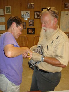 Banding birds, click to zoom in.