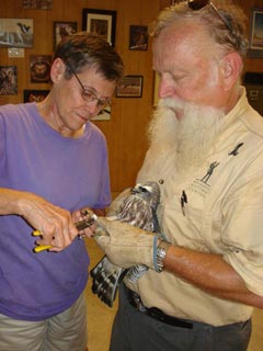 Banding birds, click to zoom in.